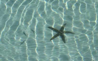 Viaggi e vacanze gay in Croazia