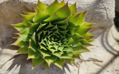 Coronavirus Croazia estate